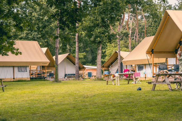 EuroParcs Reestervallei voordelige bungalows