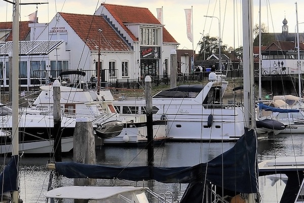 Oysterduinen online deals