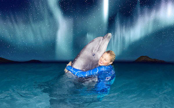 Dolfinarium entreeticket met 36% korting