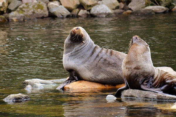 Aqua Zoo Leeuwarden entreeticket met 30% korting