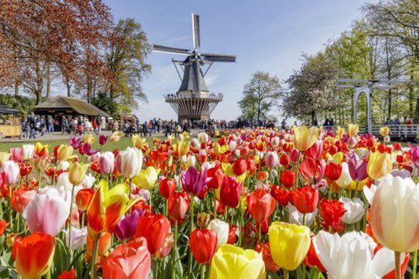 Keukenhof dagtrips met kortingscode