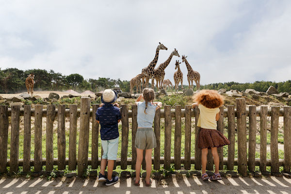 Safaripark Beekse Bergen entreeticket met 30% korting