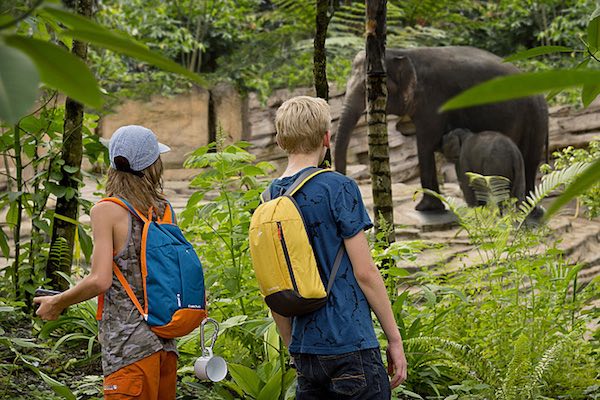 Geef een dagje Wildlands Adventure Zoo Emmen kado!